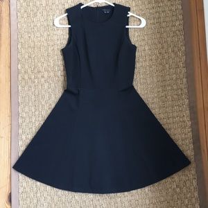 Theory Dress